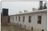 河北廊坊瑞豐保溫雞舍 防火保溫、耐酸堿，打造現(xiàn)代化養(yǎng)殖新標(biāo)桿